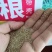 进口草坪种子护坡绿化狗牙根草籽草种子矮生耐践踏免修剪