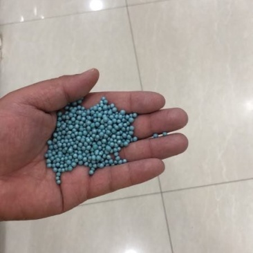马蹄金草种草籽马蹄筋铜钱草种子