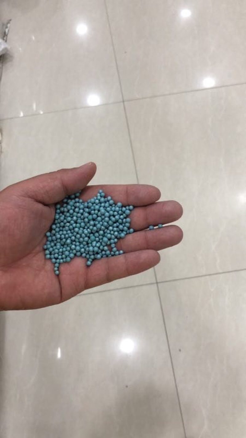 马蹄金草种草籽马蹄筋铜钱草种子