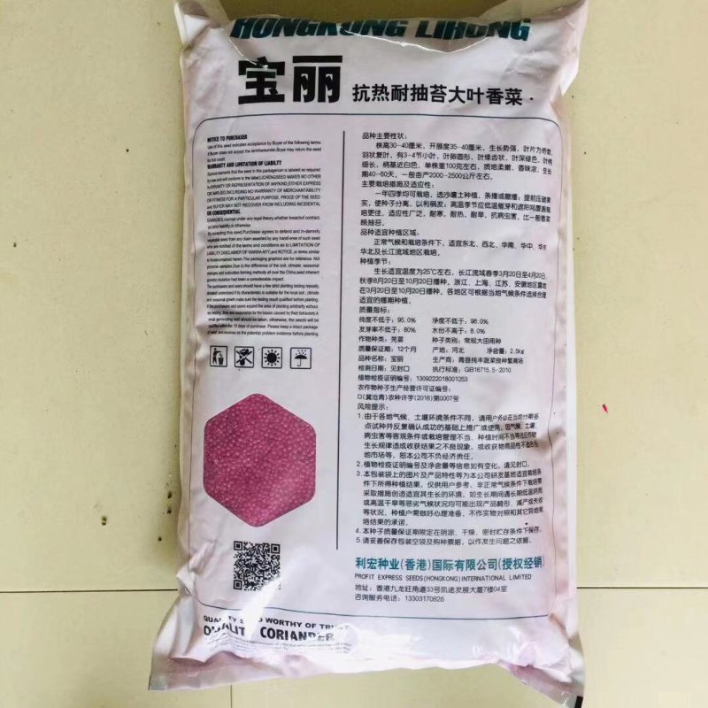 宝丽香菜种籽5斤装抗热耐抽苔大叶香菜种子四季均可播种耐旱