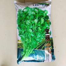 宝丽香菜种籽5斤装抗热耐抽苔大叶香菜种子四季均可播种耐旱