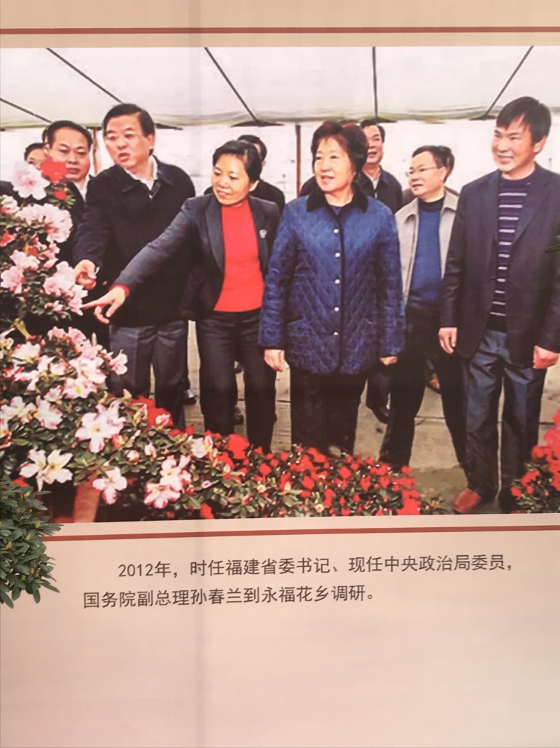 特色花卉