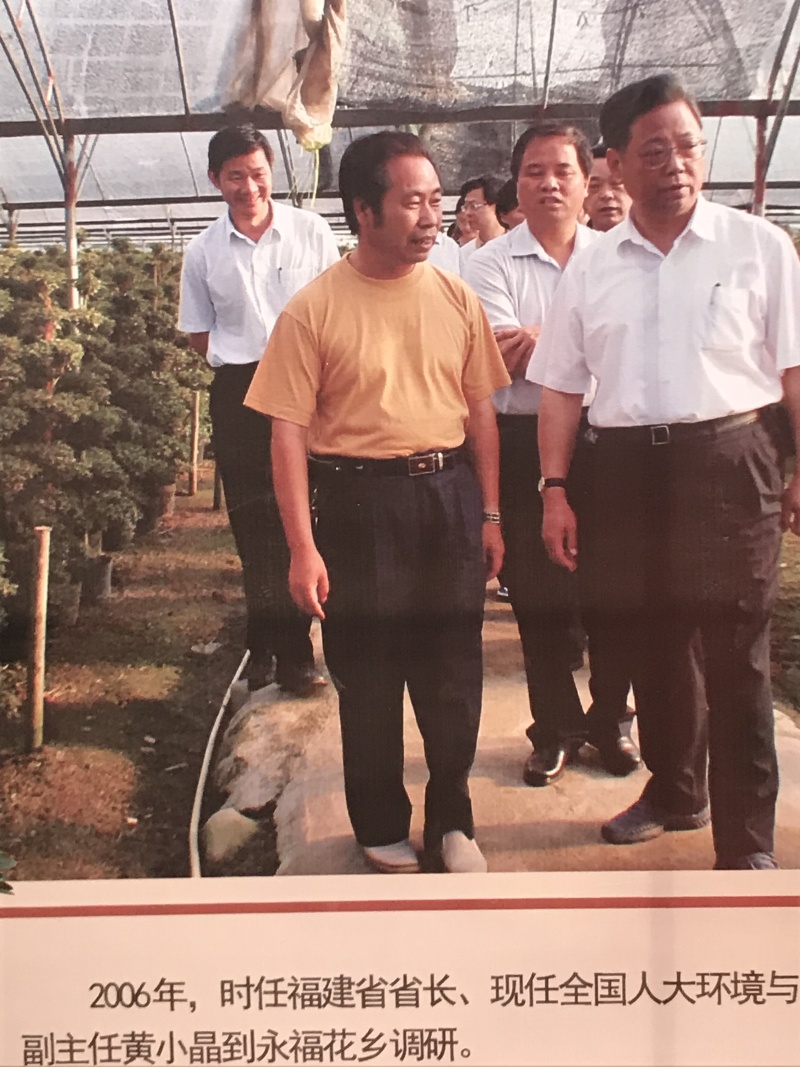 特色花卉