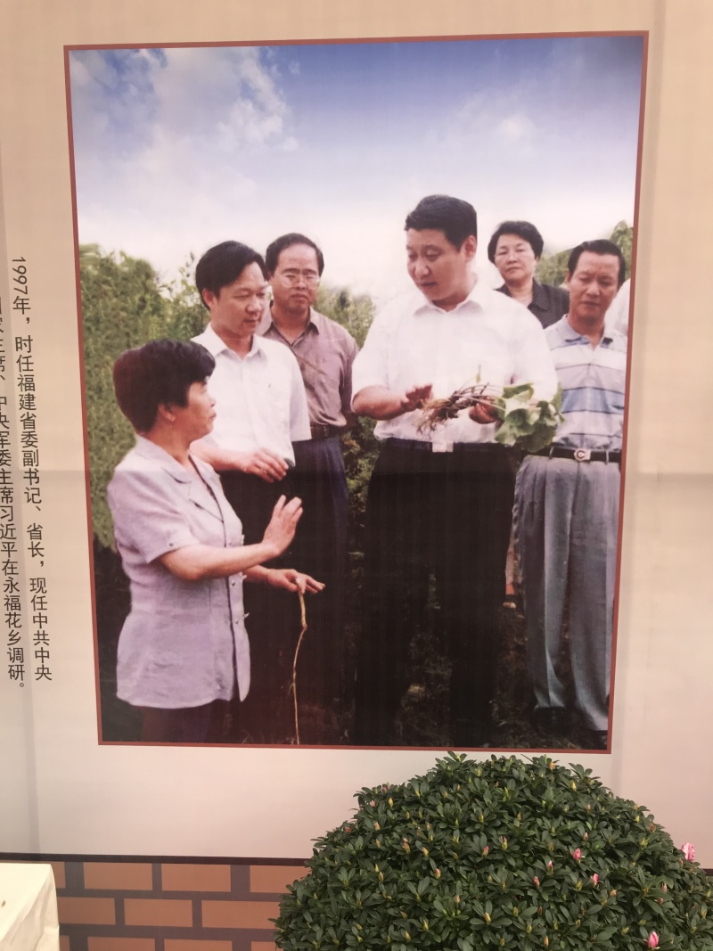 特色花卉