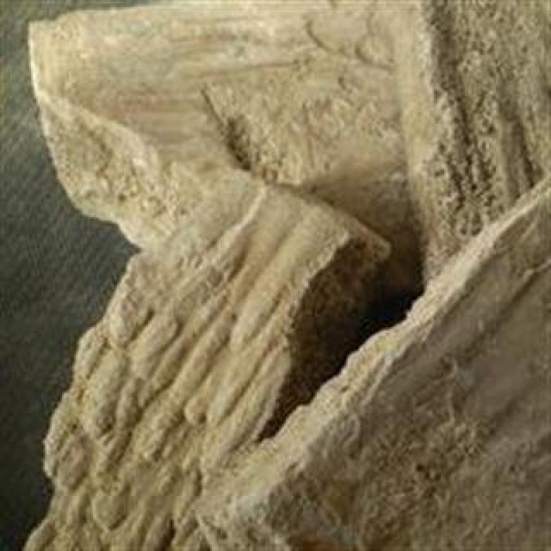 常年批发代购人中白各种规格