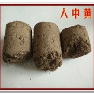 常年批发代购人中黄各种规量大从优
