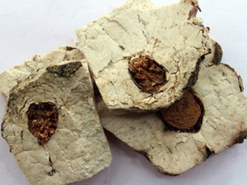 常年批发代购茯神各种规格量大从优