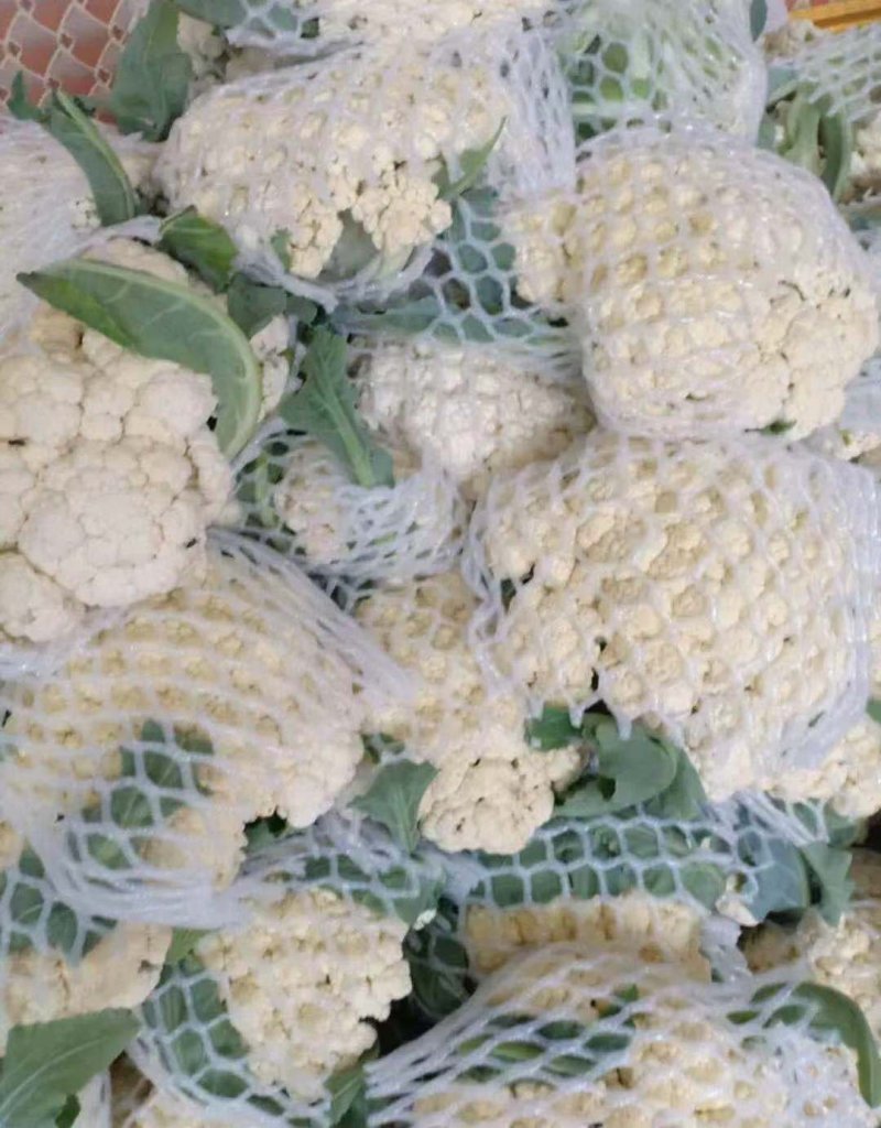 精品散菜花，产地直发，大量供应支持线上交易保证质量