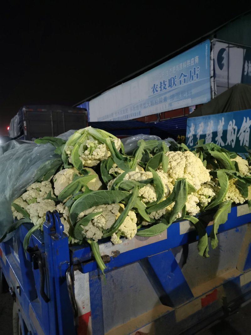 精品散菜花，产地直发，大量供应支持线上交易保证质量