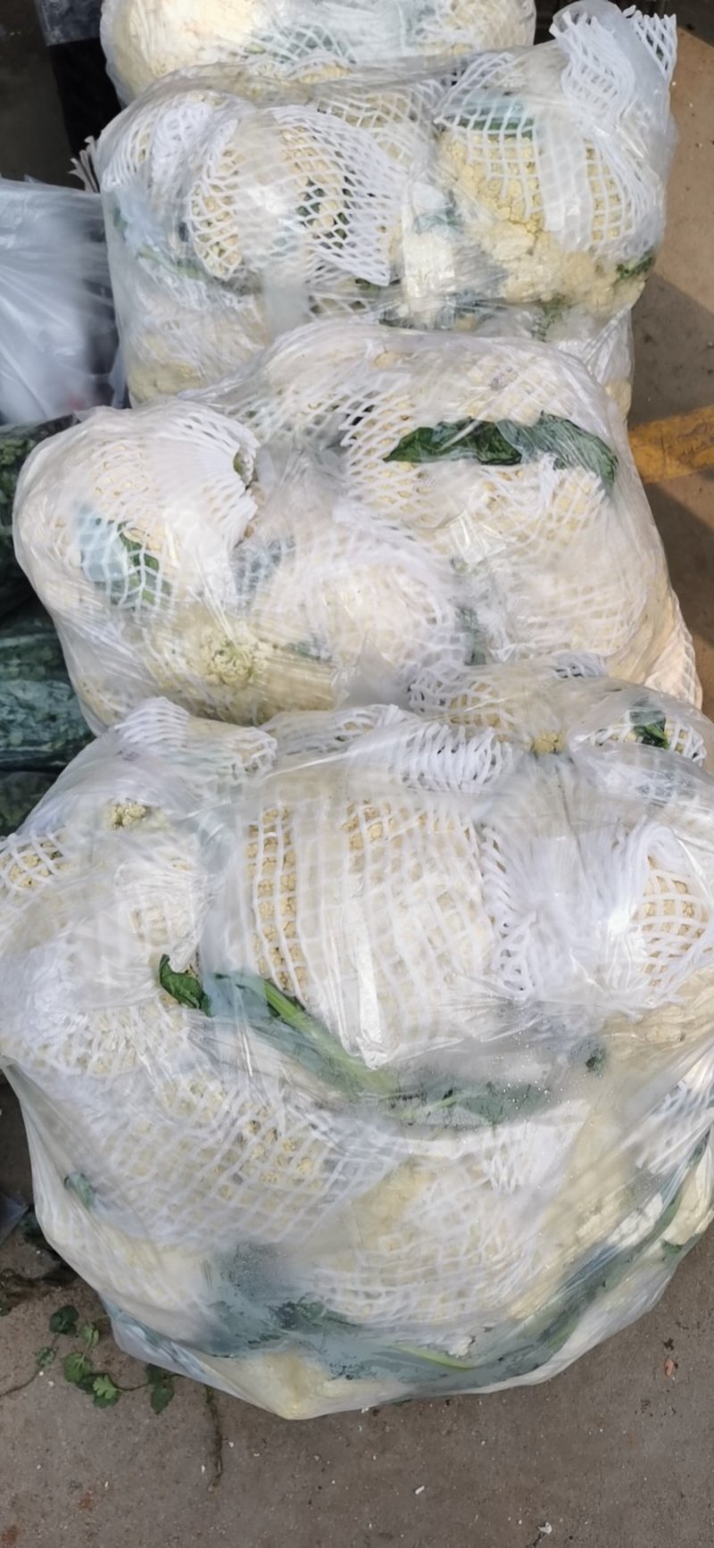 精品散菜花，产地直发，大量供应支持线上交易保证质量