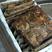 湖北河蚌肉鲜活冷冻已处理免清洗肉质肥美鲜味十足全国发货！