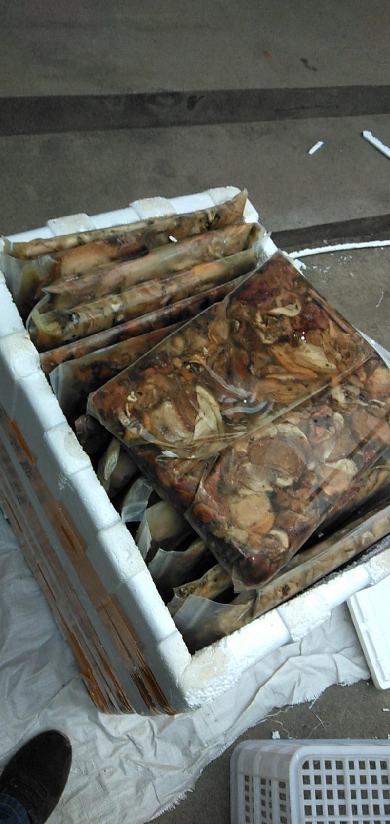 湖北河蚌肉鲜活冷冻已处理免清洗肉质肥美鲜味十足全国发货！