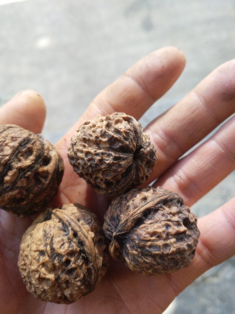 云南保山老树核桃，纯核桃压榨，纯核桃油无添加