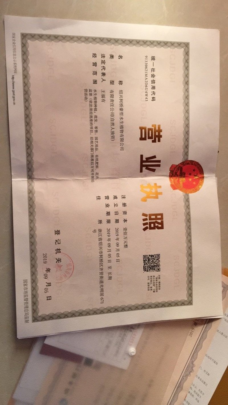 火星花自产自销专业种植品种观赏草