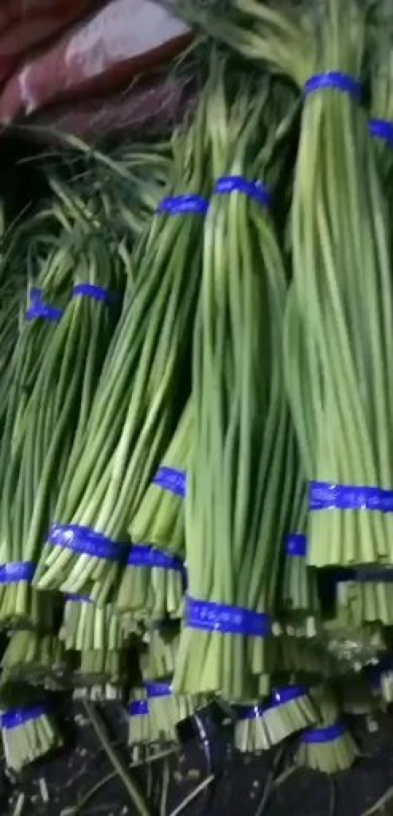 金乡优质蒜苔红帽蒜薹大量上市！物美价廉欢迎选购！