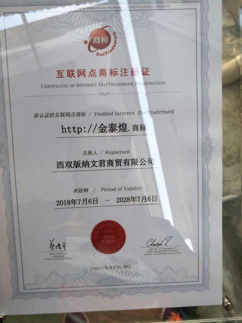 马来8号无色素红心中糖干木瓜