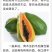 马来8号无色素红心中糖干木瓜