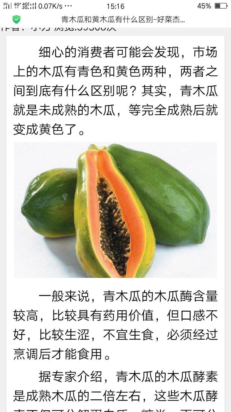 马来8号无色素红心中糖干木瓜