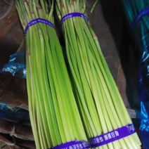 精品蒜薹、800t正在开库价格便宜一手货源，基地直发