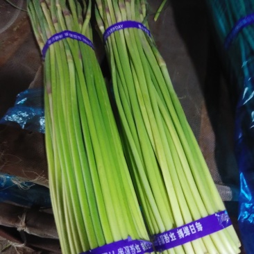 精品蒜薹、800t正在开库价格便宜一手货源，基地直发