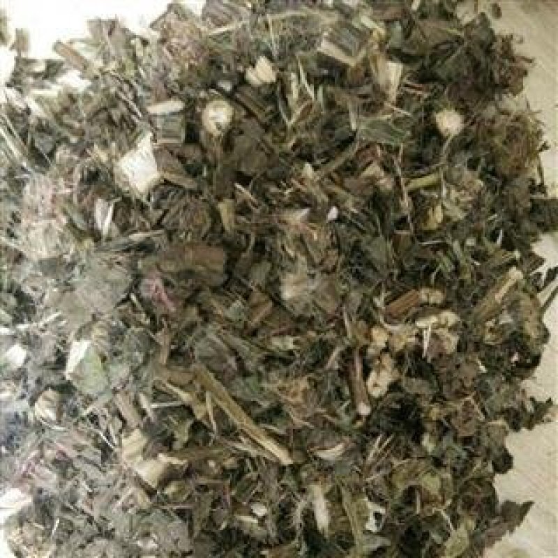 大蓟常年批发供应小蓟大蓟各种规格