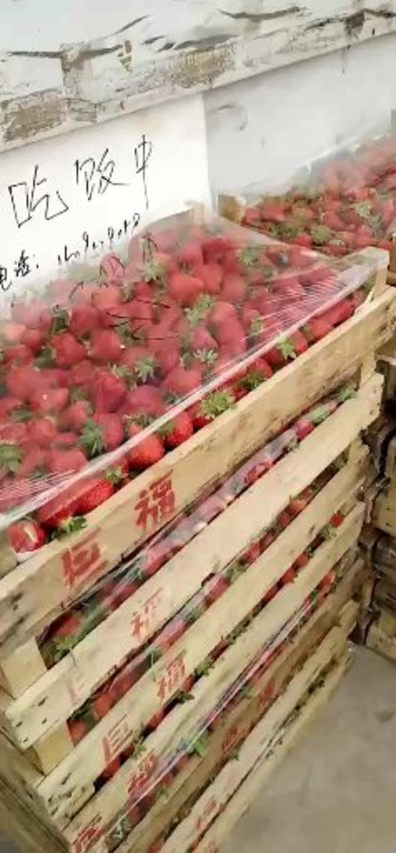 好货推荐精品甜宝草莓山东大棚草莓基地品种齐全