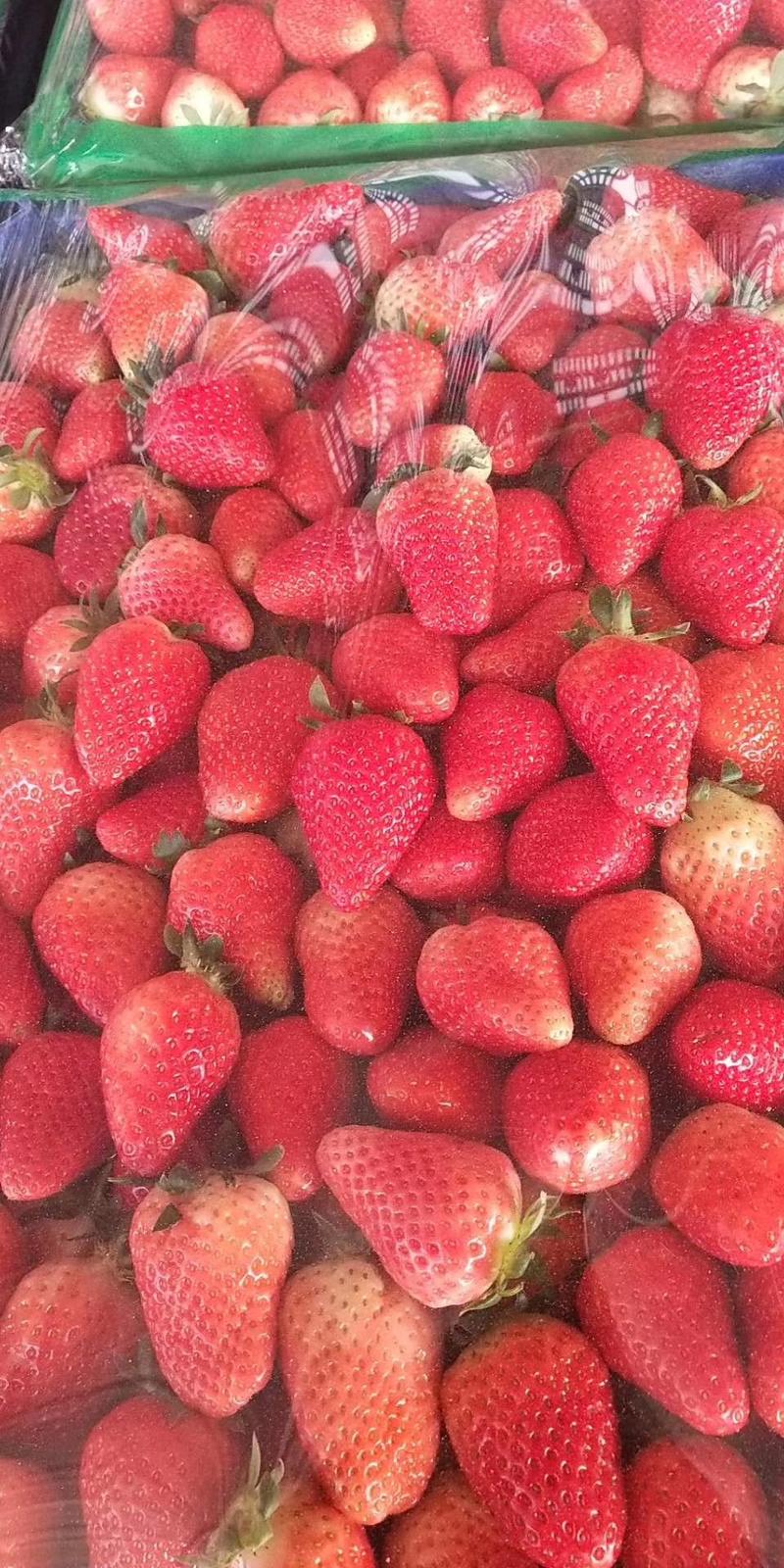 好货推荐精品甜宝草莓山东大棚草莓基地品种齐全