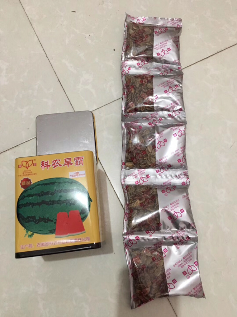 超耐旱西瓜种子～科龙旱霸