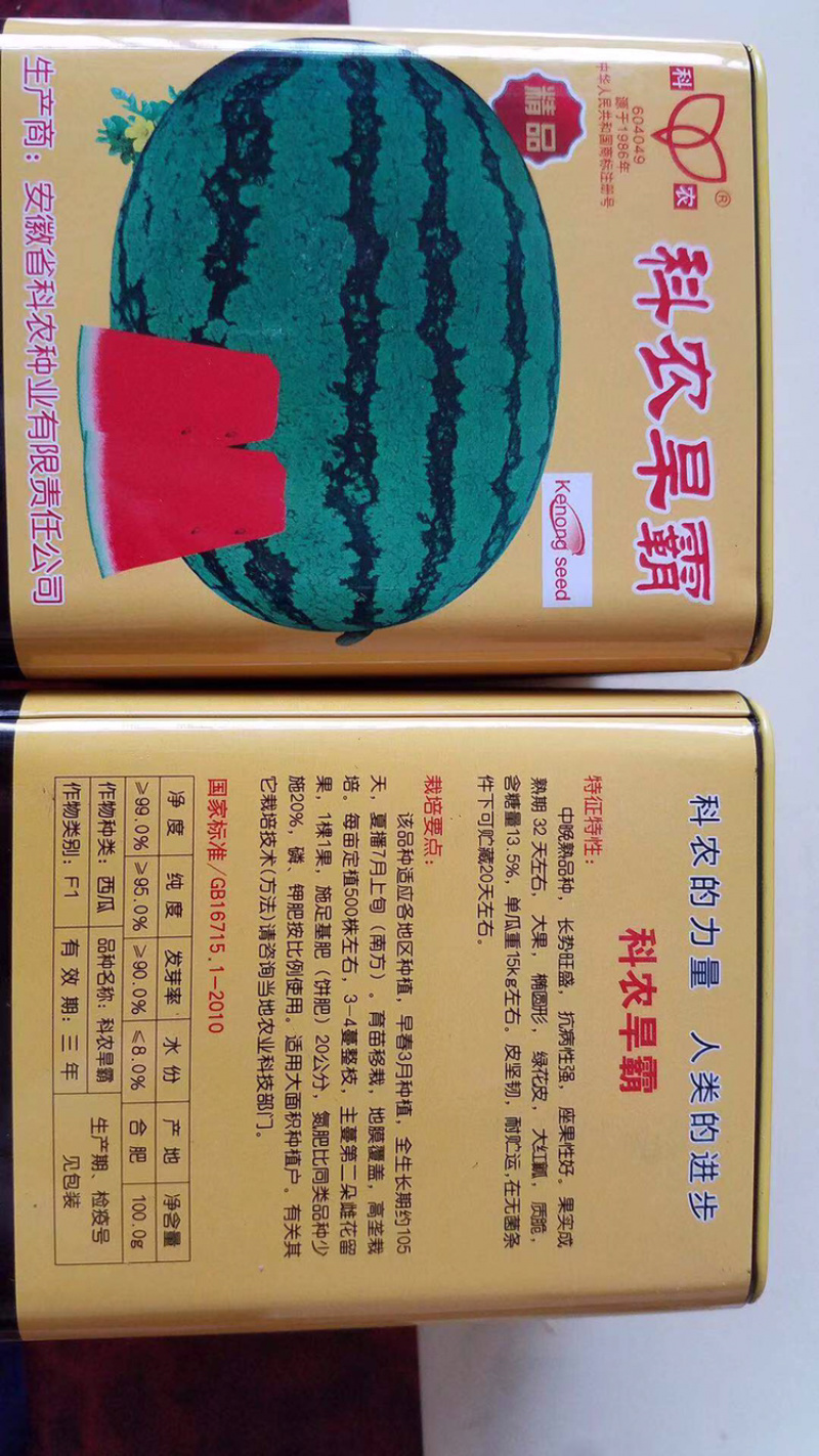 超耐旱西瓜种子～科龙旱霸