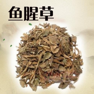 鱼腥草，常年批发供应鱼腥草四川货中药材