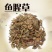 鱼腥草，常年批发供应鱼腥草四川货中药材