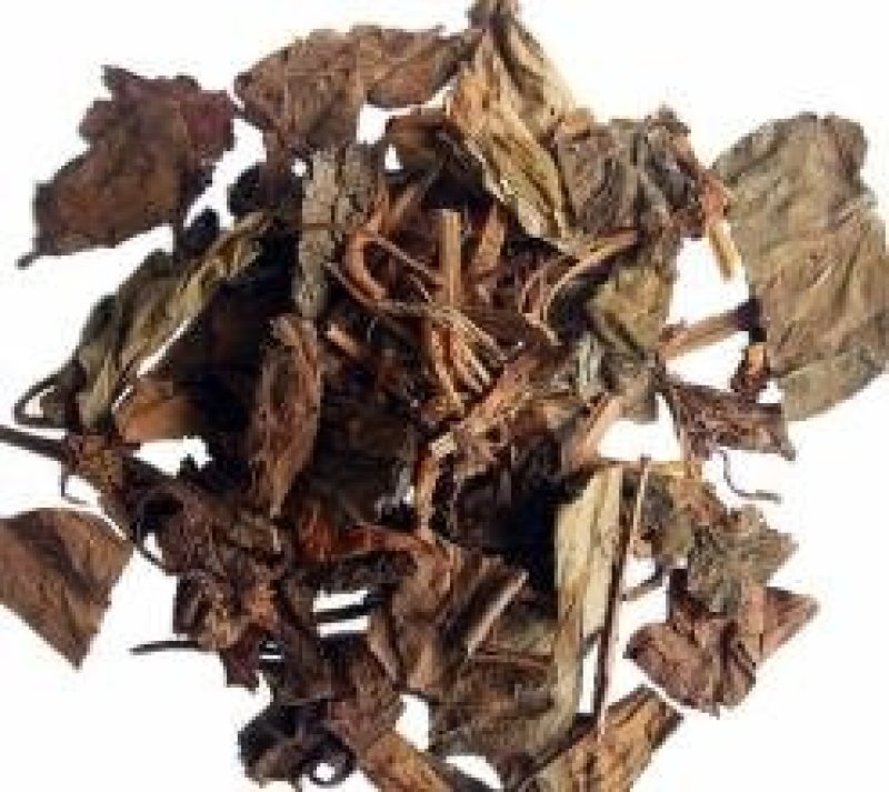 鱼腥草，常年批发供应鱼腥草四川货中药材
