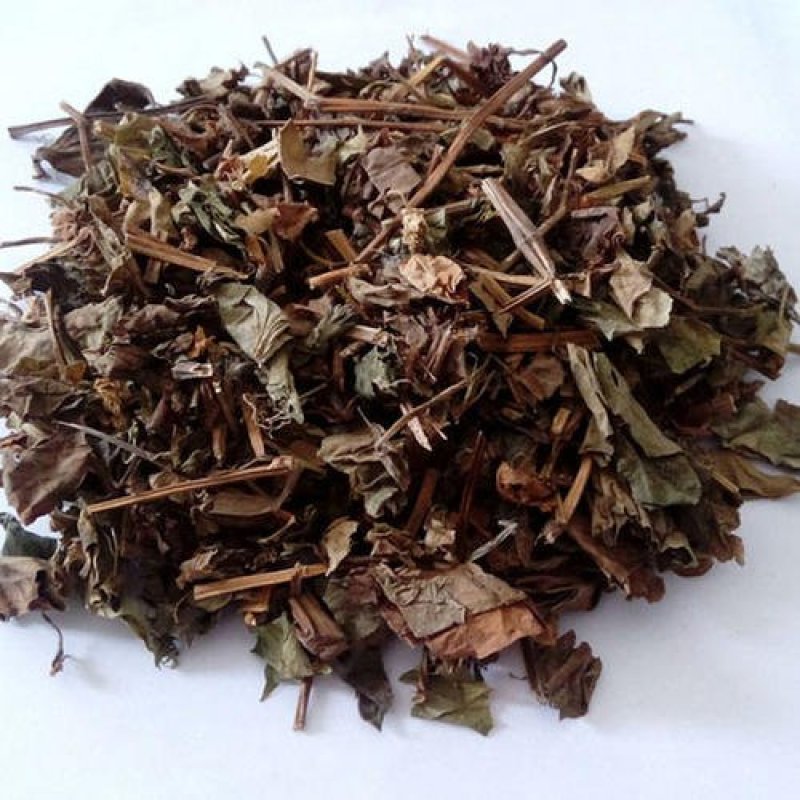 鱼腥草，常年批发供应鱼腥草四川货中药材