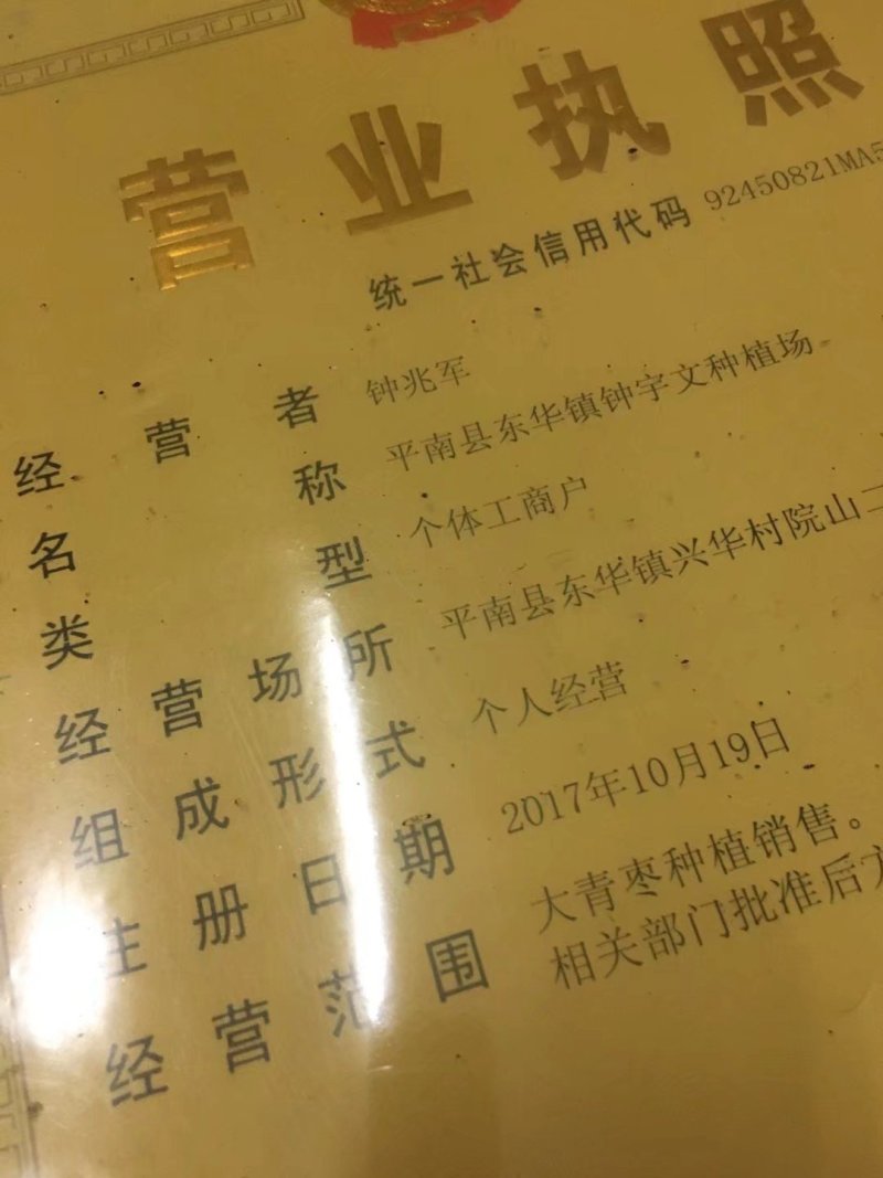 平南蜜丝枣50g以上.