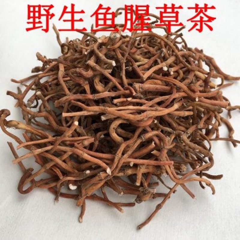 鱼腥草根常年批发供应鱼腥草根量大从优