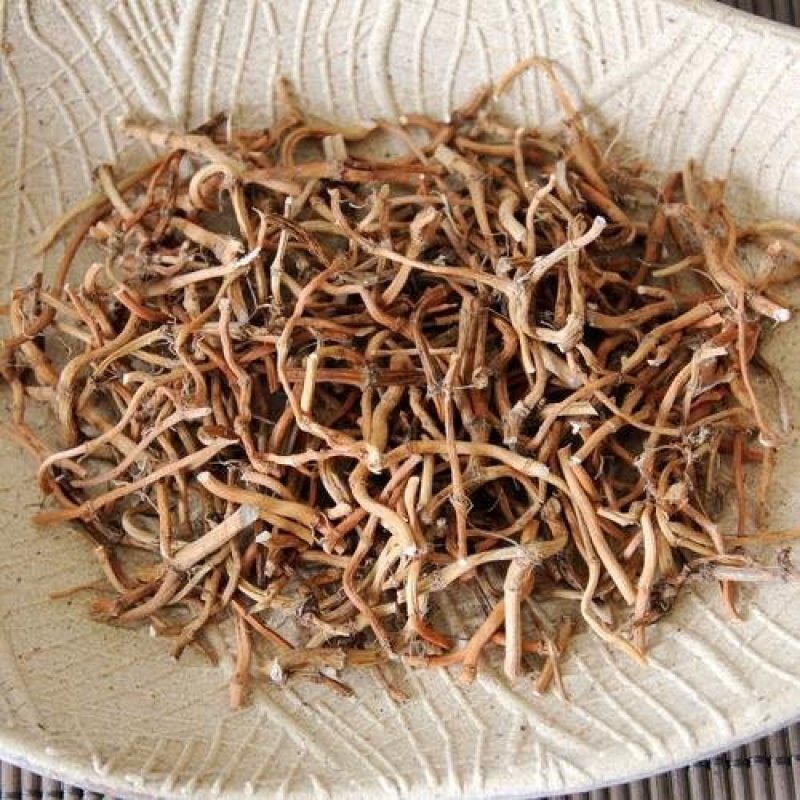 鱼腥草根常年批发供应鱼腥草根量大从优