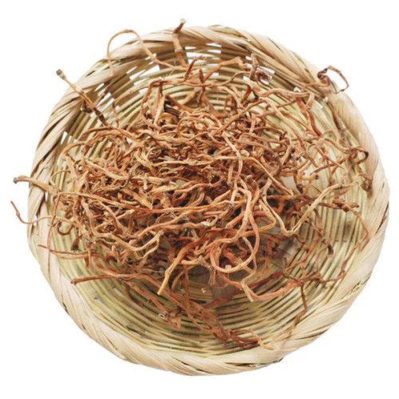 鱼腥草根常年批发供应鱼腥草根量大从优