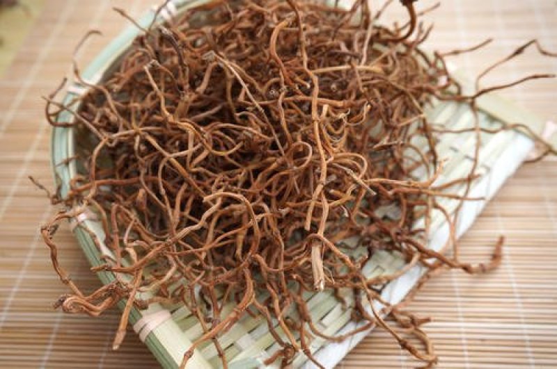 鱼腥草根常年批发供应鱼腥草根量大从优