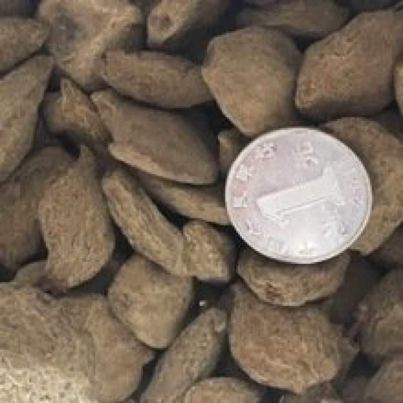 常年批发代购碧桃干量大从优