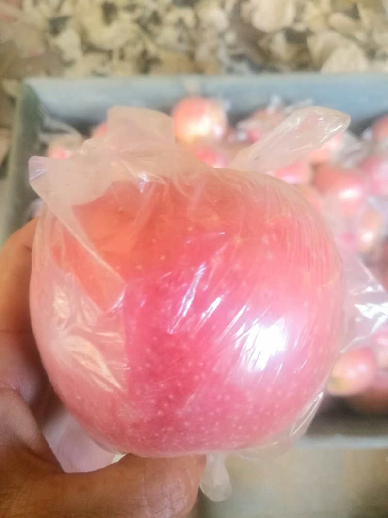 精品纸加膜长枝红富士苹果，自家苹果好吃脆甜。