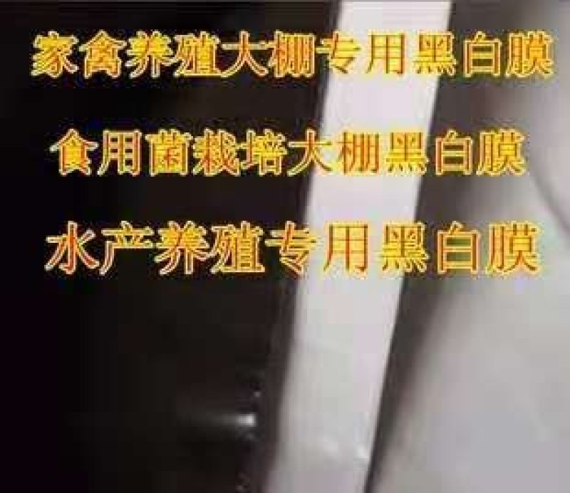 黑白膜高透光高保温抗老化黑白膜养殖膜无滴膜进口国产膜