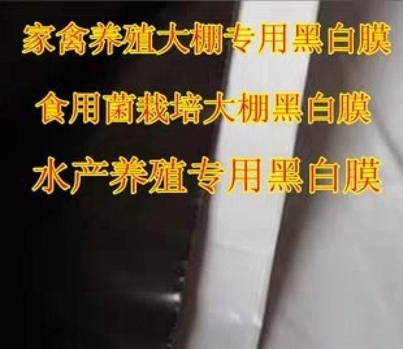 黑白膜大棚养殖专用膜反光膜包邮可视频看货选货一亩田线上