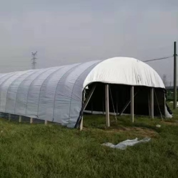 黑白膜大棚养殖专用膜反光膜包邮可视频看货选货一亩田线上