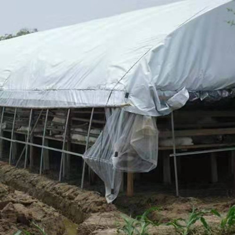 黑白膜大棚养殖专用膜反光膜包邮可视频看货选货一亩田线上