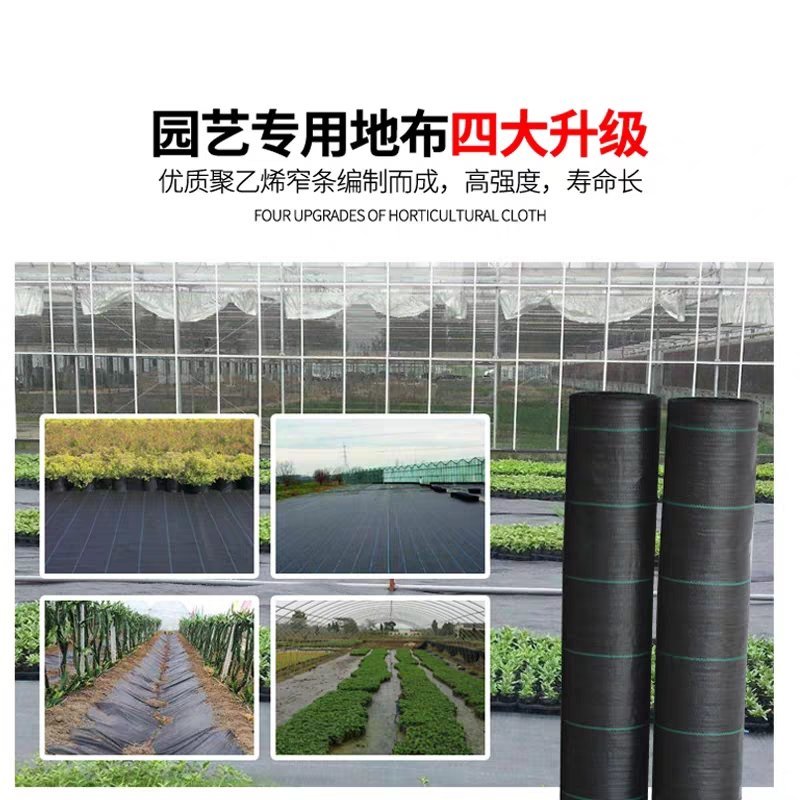 江苏宿迁沭阳县防草布除草布耐用农用大棚遮光透气地布地