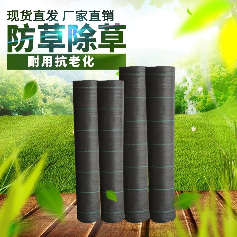 江苏宿迁沭阳县防草布除草布耐用农用大棚遮光透气地布地
