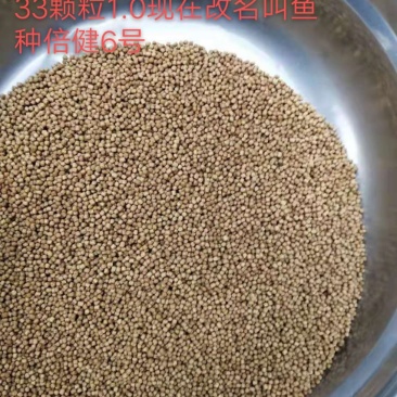 江苏工厂直发鱼饲料型号通威156-157-1038-鱼苗宝