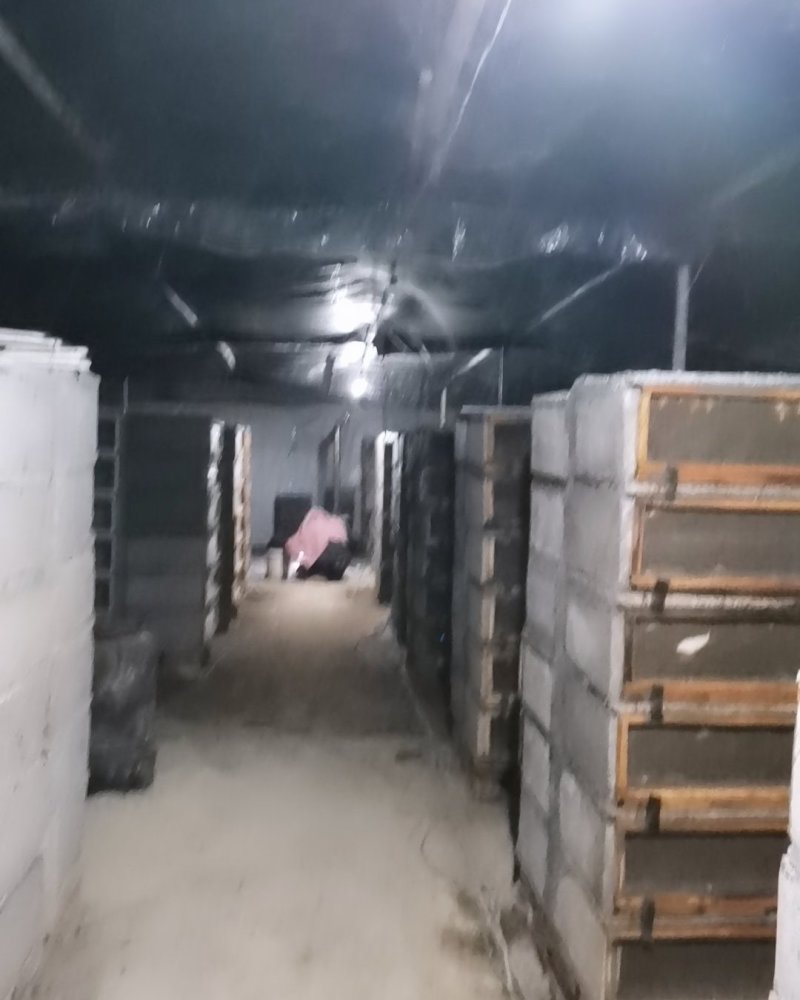 中华白玉蜗牛专业养殖户