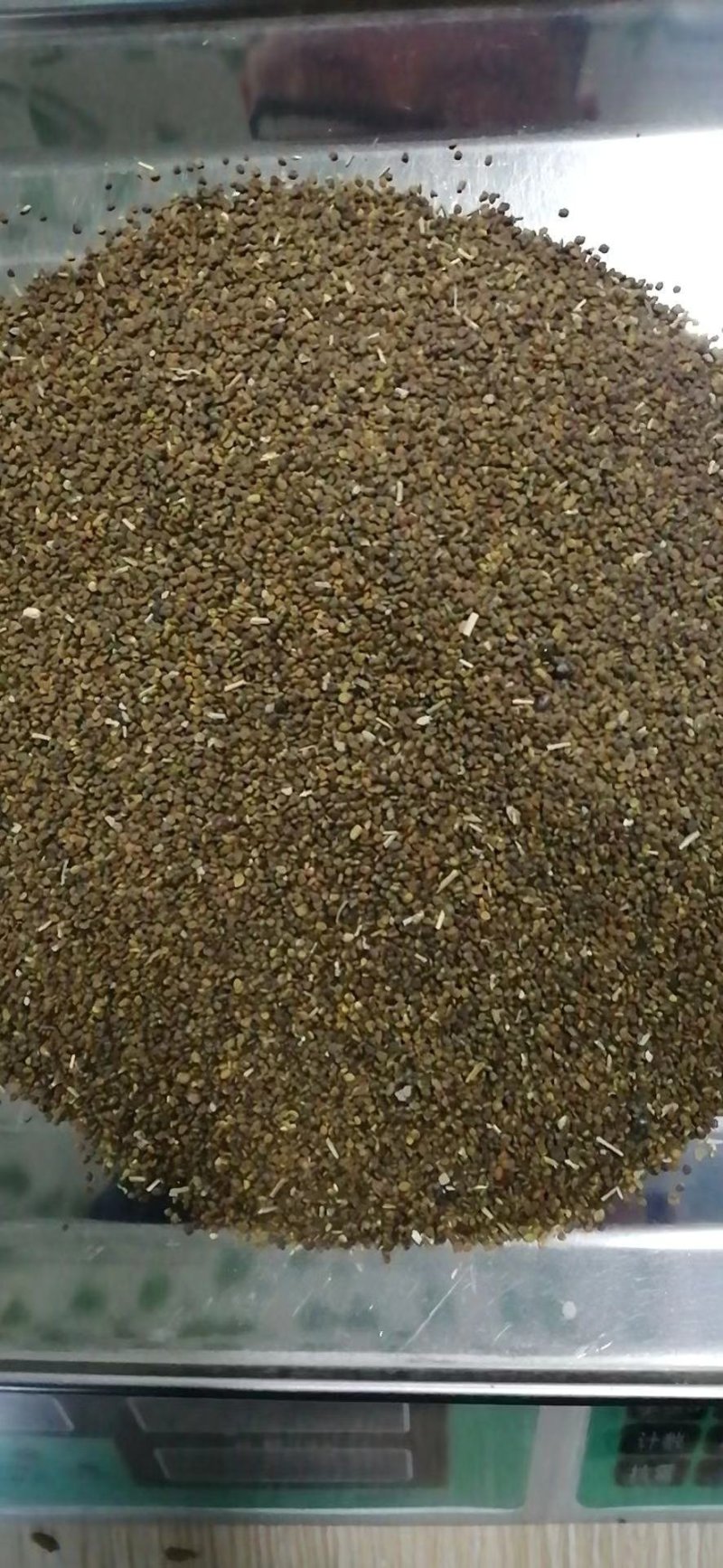 沙打旺种子多年生牧草四季绿肥防沙固土护坡耐寒耐旱