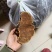 包邮神农架桑树桑黄纯野生新货颜色金黄保证质量